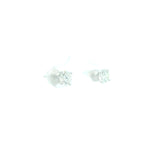 1.00 CTTW Studs Earrings