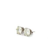 7.62 CTTW Studs Earrings
