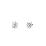3.35 CTTW Studs Earrings