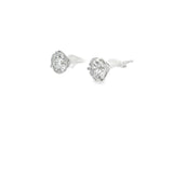 2.53 CTTW Studs Earrings
