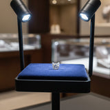 Custom Cut Cat Loose Natural Diamond .45ct F Color SI1 Clarity