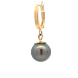 Modern 11.5mm Tahitian Pearl 14kt Yellow Gold Drop Earring
