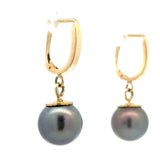 Modern 11.5mm Tahitian Pearl 14kt Yellow Gold Drop Earring